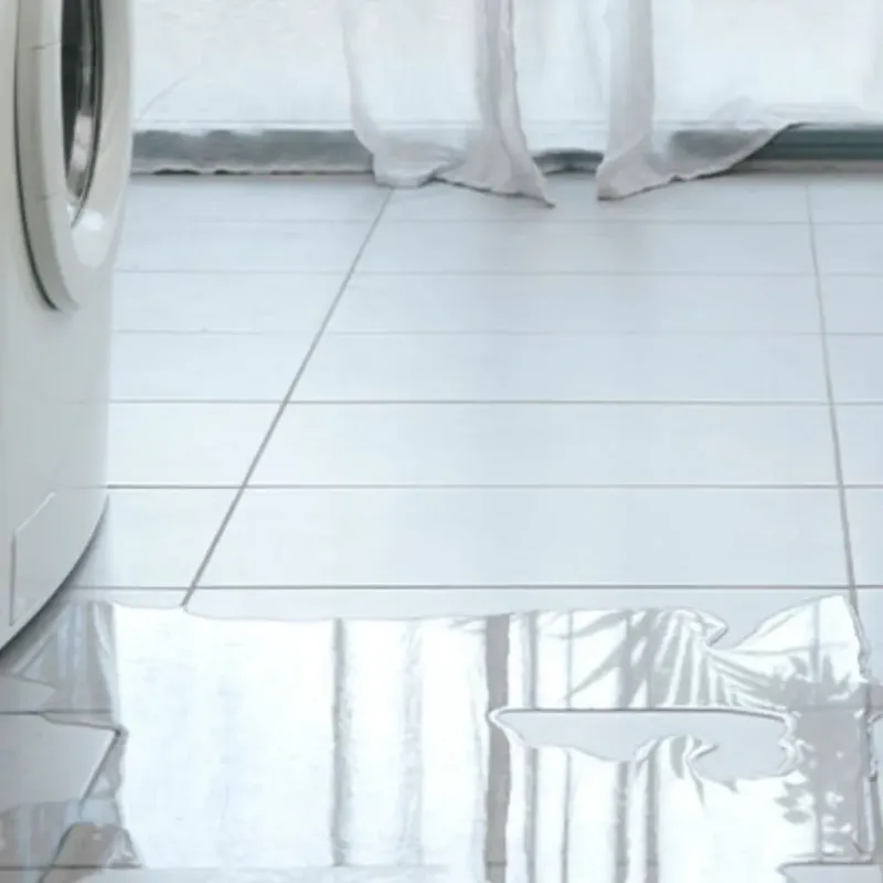 Appliance Leak Cleanup in Holmes County, OH