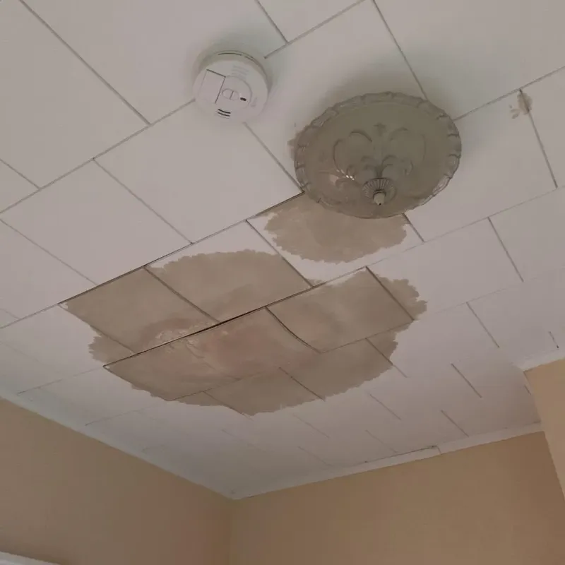 Ceiling Water Damage Repair in Holmes County, OH