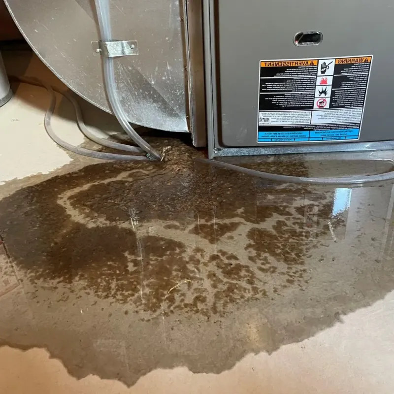 Pipe Burst and Leak Restoration in Holmes County, OH