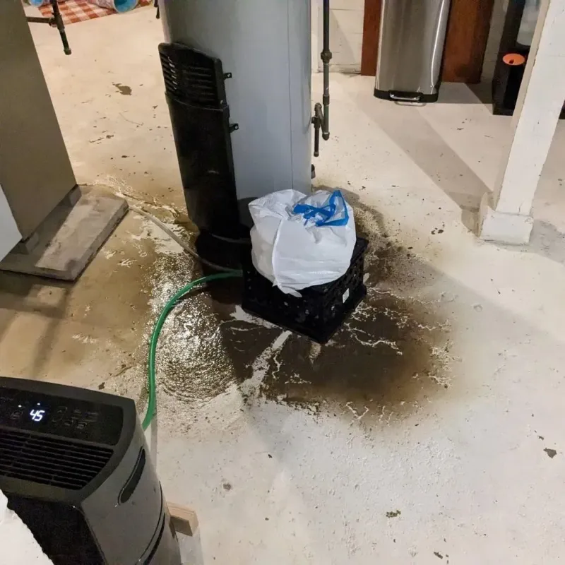 Sewage Backup Cleanup Service in Holmes County, OH